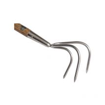 Cultivador Acero inoxidable Edelgart