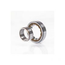 Cuscinetto a rulli cilindrici NU1016 M1C3 22mm od 125mm id 80mm foro cilindrico FAG