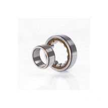 Cuscinetto a rulli cilindrici NU2214 ecp 31mm ad 125mm id 70mm foro cilindrico SKF
