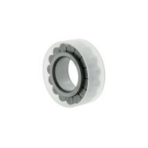 Cuscinetto a rulli cilindrici RSL182214. 70mm ext. 110.01mm largo 31mm INA