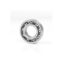 Cuscinetto a sfere a gola profonda 6006 -LLBC35K 13mm od 55mm id 30mm NTN