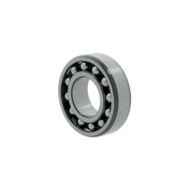 Cuscinetto rotolare sulle sfere 2215 e N9 int 75mm ext 130mm Ep. 31mm SKF