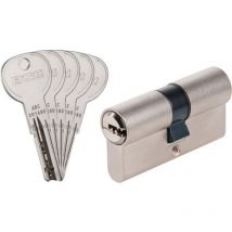 Cylindre 2 entrées ISR6 Exem Laiton nickelé - Varié - 40 x 40 mm