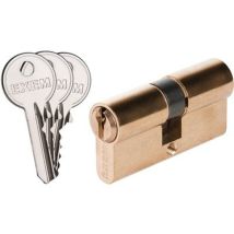 Cylindre 2 Entrées 5g Exem Laiton - S'Entrouvrant Sur Clé N°kcb006516 - 30 X 30 Mm