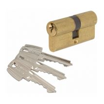 Cylindre 2 entrées s'entrouvrant laitonné - 30 x 60 mm - TE5 - Tesa