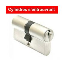 Cylindres utilisant les mêmes clés (s'entrouvrant) F5S Haute Qualité (3 clés) - Dimensions: 30 x 40 mm