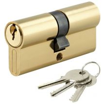 Cylindre de securite pour porte barillet 30 x 30 mm 3 cles Metalux 1060B