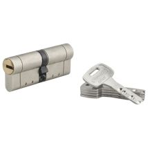 Thirard - Cylindre de serrure double entrée Federal s, 42x42mm, nickel, anti-arrachement, anti-perçage, 5 clés