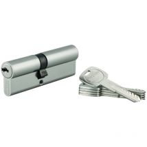 Thirard - Cylindre de serrure double entrée Trafic 6 unikey (achetez-en plusieurs, ouvrez avec la même clé), 40x40mm, 5 clés