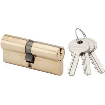Ronis - Cylindre européen double entrée 35x55mm laiton sur ptt et edf 071011PD
