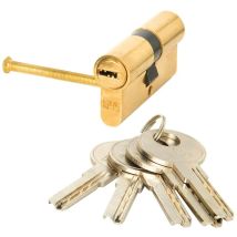 Cylindre de sécurité FAC 30x40 mm – Laitonné – Panneton désaxé 15 mm – Quincaillerie