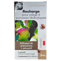 Cymatrap - Recharges pour piège à punaises diaboliques (3+3 x 8 semaines)
