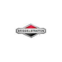 Serie segmenti 020 originale briggs & stratton 499427