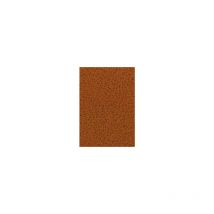 Dalle Moquette Samba Tangerine Imperméable et Grand Passage