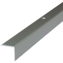 Dalsys - Profilé de nez de marche avec matériel de fixation - 200cm x 20mm x 20mm Champagne