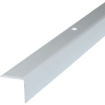 Dalsys - Treppenkantenprofil mit Befestigungsmaterial - 200cm x 42mm x 20mm Silber