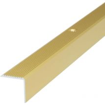 Dalsys - Treppenkantenprofil mit Befestigungsmaterial - 200cm x 42mm x 20mm Gold