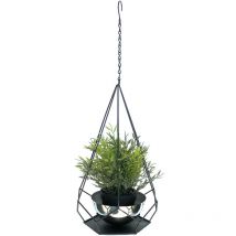 Pot de fleurs Intérieur Métal Mur Plantes suspendues 59 cm 96095 s avec pot 6 coins Pendentif pour plantes Pendentif pour fleurs Pot de fleurs Pot