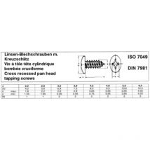 100 Stück Dönges Linsen-Blechschraube C-H, DIN 7981, galvanisch verzinkt, 3,9 x 9,5 mm