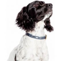 Danish Designs FatFace Marching Dog Collar - sml - 811493