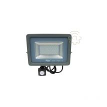 Projecteur led Driwei avec capteur cre'pusculaire pir 30W lumie're blanche glace 6000k 3000Lm IP65 avec support Pioneer led gris
