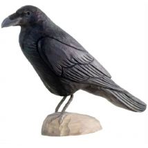 Wildlife Garden - Décobird Grand Corbeau