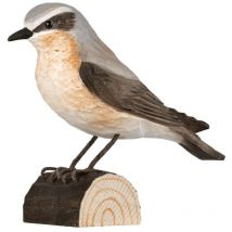 Décobird Traquet motteux