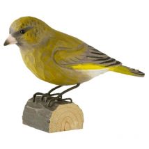 Décobird Verdier d'Europe