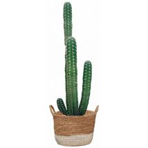 Décoration murale adhésive Cactus