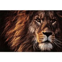 Lana Deco - Décoration murale lion verre trempe marron 120x1x100cm
