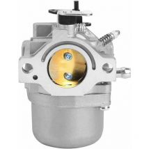 Wahaison - tonchean Carburateur,Accessoires de Jardin de Remplacement de carburateur adaptés pour Briggs Stratton 799728 498027 12 hp 12.5 hp