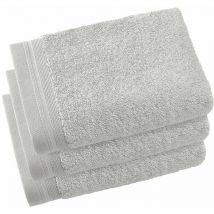 Contessa Luxe - Set di 3 asciugamani per ospiti, in cotone, 40 x 60 cm, colore: Grigio chiaro - De Witte Lietaer