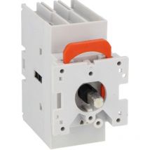 Lovato - Sectionneur tripolaire à montage sur porte 40A GA040C