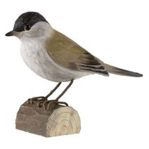 Décobird Fauvette à tête noire