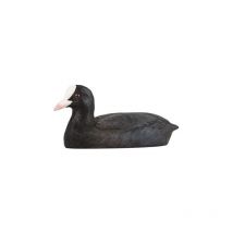 Décobird Foulque macroule