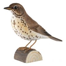 Decobird Grive musicienne