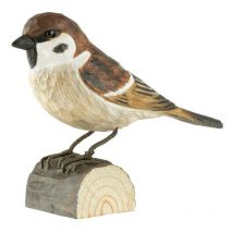 Décobird Moineau friquet