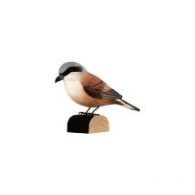 DecoBird Pie-grièche Écorcheur