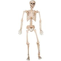 Décoration D'Halloween My Other Me 120 Cm Squelette