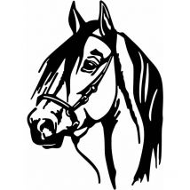 Asir Group Llc - Décoration murale en métal Acess Tête de cheval