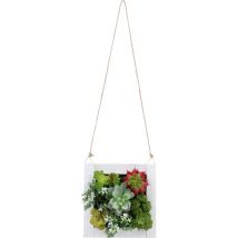 Décoration murale en plastique pour plantes de jardin avec cadre et pendentif en forme de plantes succulentes