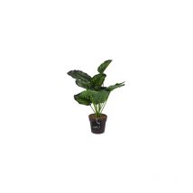 Décorations en Mica Plante Artificielle Calathea En Pot Vert 40 Cm
