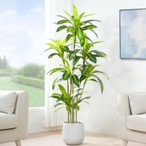 Mcc Direct - Decorative Artificial Agave Tree with Plastic Planter and Artificial Moss 150cm