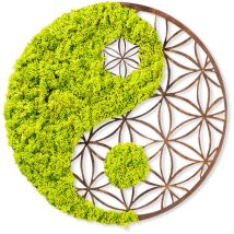 Decorazione Accessoria Da Parete Accessory 100% Mdf / Moss (thickness: 9 Mm)