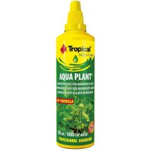 Tropische Wasserpflanze 100 Ml