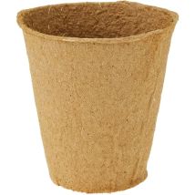 Dehner Impianto Piante, Rotondo, Diametro 8 Cm, Confezione Da 48