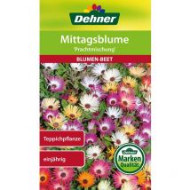 Sementi per Fiori, Fiori di mezzogiorno Miscela di prumenti, Confezione da 5 (5 x 0,8 g) - Dehner