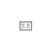 Deknudt - S65KQ2 2x13x18 Galerie bois marron passepartout (S65KQ2 2X13X18)