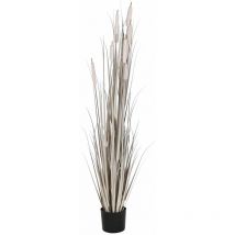 Dkd Home Decor - pvc -Pflanze 45x45x150 Hellgrau Roseau pvc Material mehrfarbige Farbfamilienblumen und Pflanzen Details