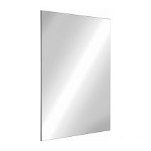 Delabie - Miroir rectangulaire inox - 500 x 400 mm